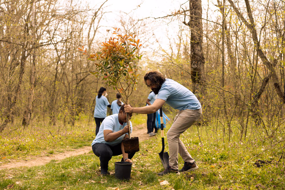 Volunteer
